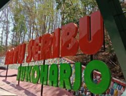 Wisata Batu Seribu, Tempat Liburan Keluarga Yang Sangat Popular di Sukoharjo