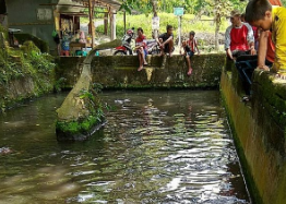Sendang lele Sukoharjo legenda pangeran dan ikan ajaib