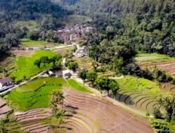 Desa Kalijarak, Keindahan Alam Karnganyar Yang Menkajubkan di Lereng Gunung Lawu