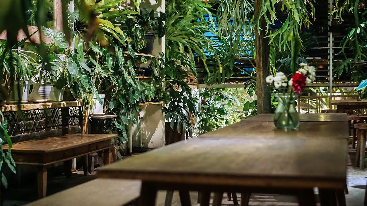 Cafe Hutan Lokal menawarkan suasana alam dengan menu yang sangat menggugah selera.