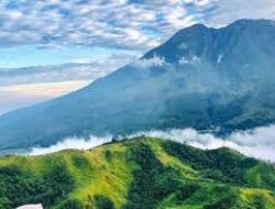 Wisata Bukit Mongkrang Perhutani di KAranganyar Berkonsep Alam, Mendaki Asyik Ala Pemula