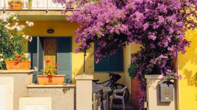 Baron House Solo merupakan destinasi wisata dengan spot yang instagrammable.