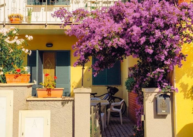 Baron House Solo merupakan destinasi wisata dengan spot yang instagrammable.