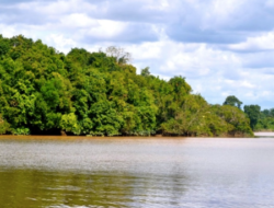 Menggali Aspek Mistis Sungai Bogor di Klaten yang Konon Dihasilkan dari Aktivitas Makhluk Gaib Berwujud Ular