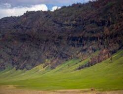 Wisata Bukit Teletubbies Dulunya Lembah Jemplang, Padang Savana yang Penuh Pesona