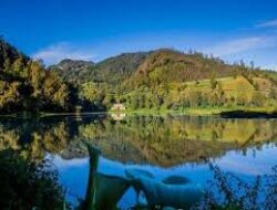 Wisata Ranu Pani Surga di Kaki Gunung Semeru, Desa Tertinggi di Pulau Jawa!
