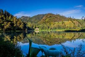 Wisata Ranu Pani Surga di kaki Gunung Semeru di desa tertinggi di pulau jawa.