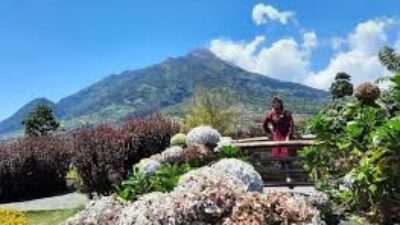 Merapi Garden Selo Boyolali menjadi rurganya pecinta tanaman.