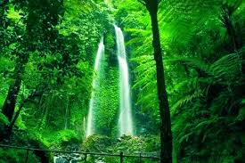 Air Terjun Pringgodani mempunyai keindahan alam yang tersembunyi.