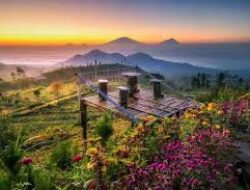 Silancur Highland Surga Alam Gunung Sumbing, Serunya Berlibur ke Magelang!