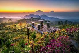 Silancur Highland surga alamnya Gunung Sumbing