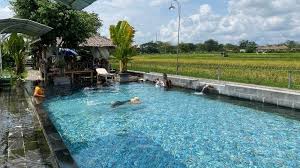 Pesona alam Tirta Berenang di tengah sawah.