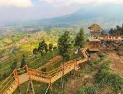 Melihat Tempat Wisata Tradisional Solo, Mulai Sejarah, Budaya hingga Hiburan