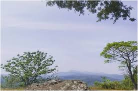 Gunung Taruwongso merupakan makam keturunan Majapahit.