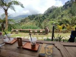 Selosa Kafe Hills Menikmati Kesegaran Alam, Keindahan Merapi dan Merbabu