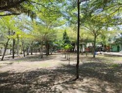 Gemolong Edupark Cocok untuk Rekreasi di Akhir Pekan, Cocok untuk Wisata Keluarga