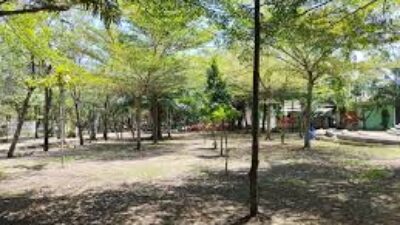 Gemolong Edupark Cocok untuk Rekreasi di Akhir Pekan, Cocok untuk Wisata Keluarga