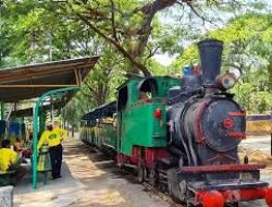 Agrowisata Sondokoro Mengenang Nuansa Tempo Dulu, Bernostalgia Menaiki Kereta Uap