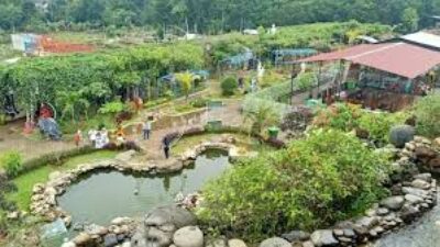 Watu Gajah Park merupakan destinasi wisata alam.