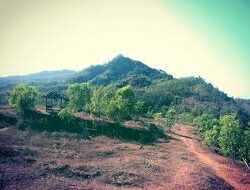 Bukit Jonambang Wonogiri Mendaki Terjal dan Menantang, Menikmati Keindahan Alam Instagramable