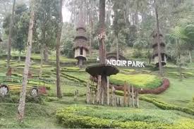 Tenggir Park dengan pesona alam indah.