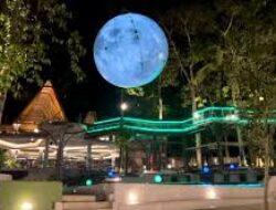 Wisata Heha Forest Pemandangan Alam Menakjubkan, Aktivitas Seru Di Tengah Hutan Yang Memukau