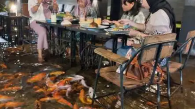 Wow! Rumah Makan Unik di Klaten: Nikmati Hidangan Sambil Berinteraksi dengan Ikan Koi