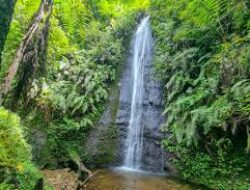 Air Terjun Selorasi Wonogiri, Keindahan Alam Tersembunyi di Lereng Selatan Jawa