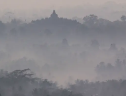 Apa Penyebab Kabut Muncul Saat Peralihan Musim?