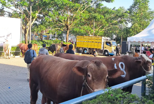 Mantab! Masjid Sheikh Zayed Solo