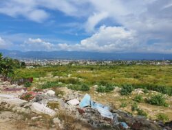 Siapa Saja Pemilik Tanah yang Terancam Diambil Negara?