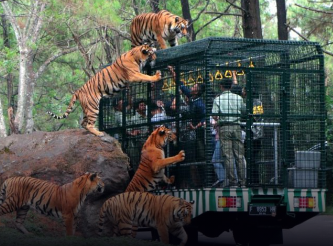 Roadshow IAPVC 2025 Dimulai