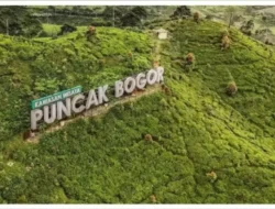 Rehabilitasi Lahan di Puncak: Solusi Strategis Atasi Banjir Jakarta