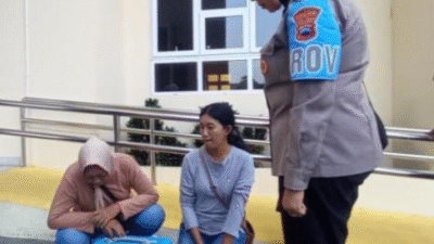 Kota Solo Ditemukan Puluhan Bangkai Kucing