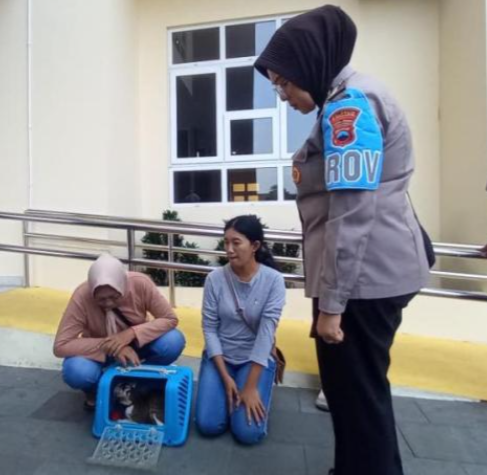 Kota Solo Ditemukan Puluhan Bangkai Kucing