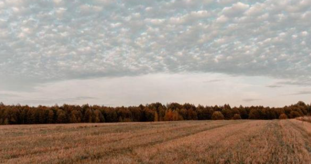Masalah Tanah yang Tidak Terpakai