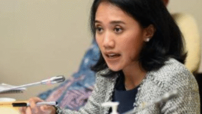 Tanggapan Puteri Anetta Komarudin