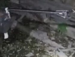 Kembali Ditemukan: Seekor Kobra dan Ular Welang di Desa Mlese, Klaten