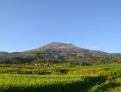 ESDM Klarifikasi, Proyek Geothermal Jenawi Bukan Penjualan Gunung Lawu