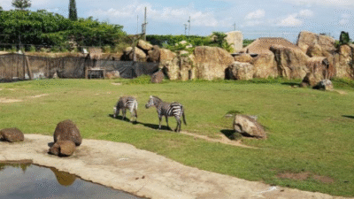 4 Destinasi Wisata Ramah Anak