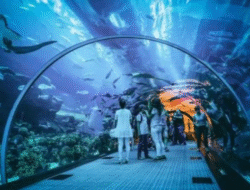 Pilihan Destinasi Wisata Aquarium di Jawa Tengah, Serunya Melihat Kehidupan Bawah Laut