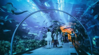 Rekomendasi Destinasi Wisata