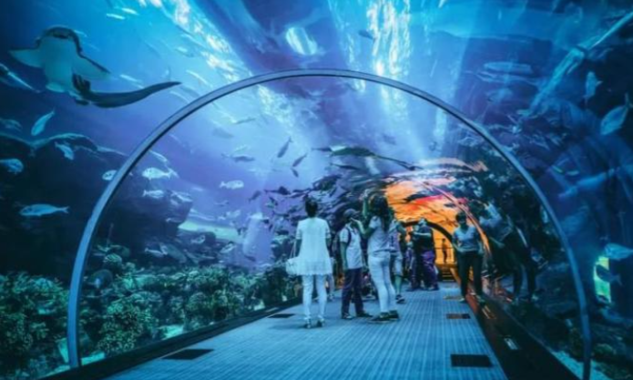 Rekomendasi Destinasi Wisata