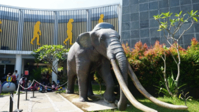 Eksplorasi Wisata Edukasi Sejarah Manusia Purba di Tegal, Hanya di Museum Semedo