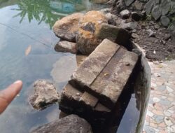 Bebatuan Kuno Ditemukan di Dasar Umbul Gedaren Klaten