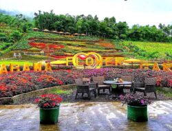 5 Destinasi Wisata Purbalingga Seru untuk Mengisi Waktu Liburan!