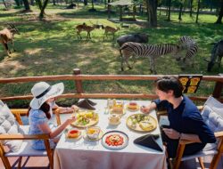 5 Daftar Wisata Solo Dekat Kawasan Pasar Gede, Cek Disini!