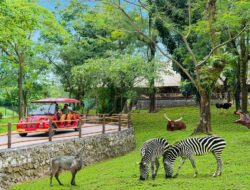 Daftar Wisata Solo Murah, Cocok untuk Muda-Mudi Budget Tipis!