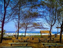 6 Wisata Purworejo Indah dengan Pemandangan Mempesona!