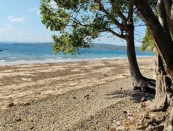 Wisata Kendal Pantai Ngebum, Sensasi Healing di Tengah Alam!